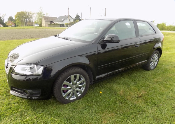 Audi A3 cena 20900 przebieg: 154000, rok produkcji 2009 z Szprotawa małe 497